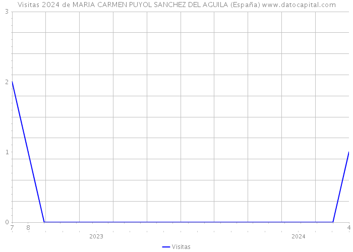 Visitas 2024 de MARIA CARMEN PUYOL SANCHEZ DEL AGUILA (España) 