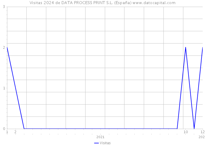 Visitas 2024 de DATA PROCESS PRINT S.L. (España) 
