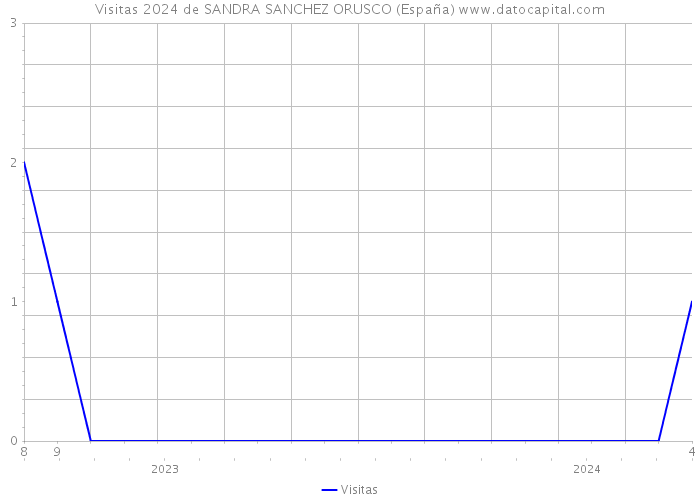 Visitas 2024 de SANDRA SANCHEZ ORUSCO (España) 