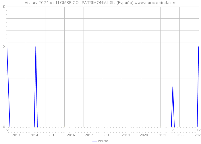 Visitas 2024 de LLOMBRIGOL PATRIMONIAL SL. (España) 