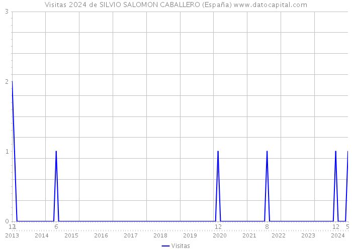 Visitas 2024 de SILVIO SALOMON CABALLERO (España) 