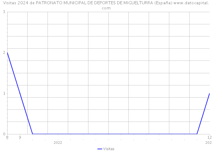 Visitas 2024 de PATRONATO MUNICIPAL DE DEPORTES DE MIGUELTURRA (España) 