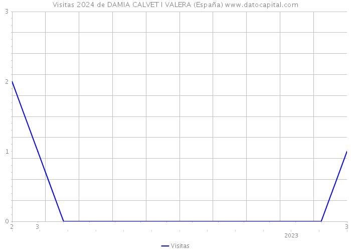 Visitas 2024 de DAMIA CALVET I VALERA (España) 