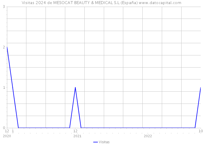 Visitas 2024 de MESOCAT BEAUTY & MEDICAL S.L (España) 