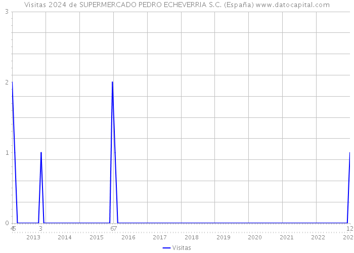 Visitas 2024 de SUPERMERCADO PEDRO ECHEVERRIA S.C. (España) 