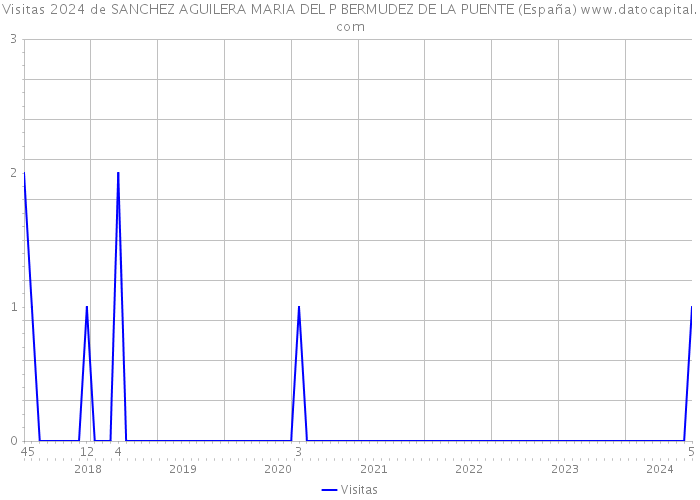 Visitas 2024 de SANCHEZ AGUILERA MARIA DEL P BERMUDEZ DE LA PUENTE (España) 