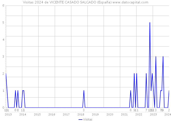 Visitas 2024 de VICENTE CASADO SALGADO (España) 