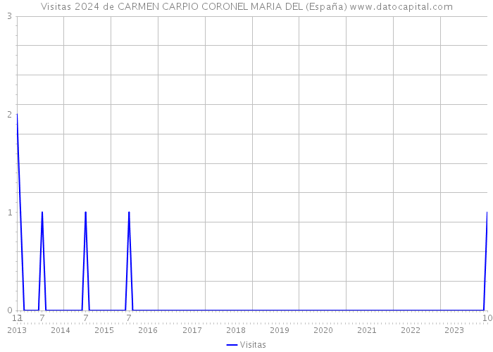 Visitas 2024 de CARMEN CARPIO CORONEL MARIA DEL (España) 