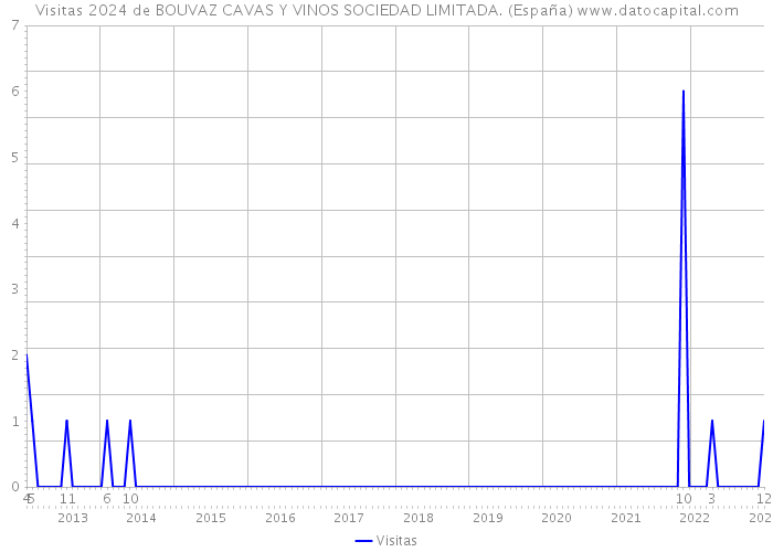 Visitas 2024 de BOUVAZ CAVAS Y VINOS SOCIEDAD LIMITADA. (España) 