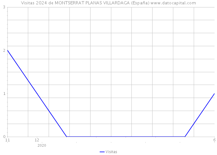Visitas 2024 de MONTSERRAT PLANAS VILLARDAGA (España) 