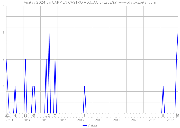 Visitas 2024 de CARMEN CASTRO ALGUACIL (España) 