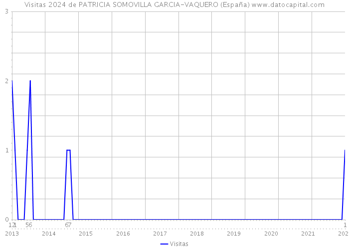 Visitas 2024 de PATRICIA SOMOVILLA GARCIA-VAQUERO (España) 