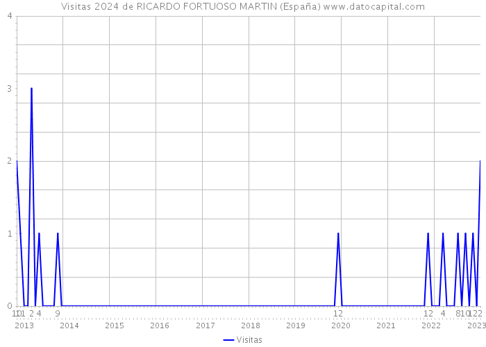Visitas 2024 de RICARDO FORTUOSO MARTIN (España) 