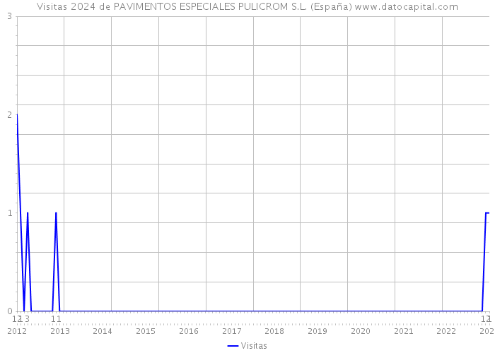 Visitas 2024 de PAVIMENTOS ESPECIALES PULICROM S.L. (España) 