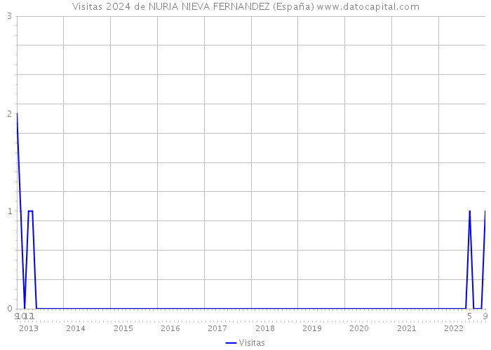 Visitas 2024 de NURIA NIEVA FERNANDEZ (España) 