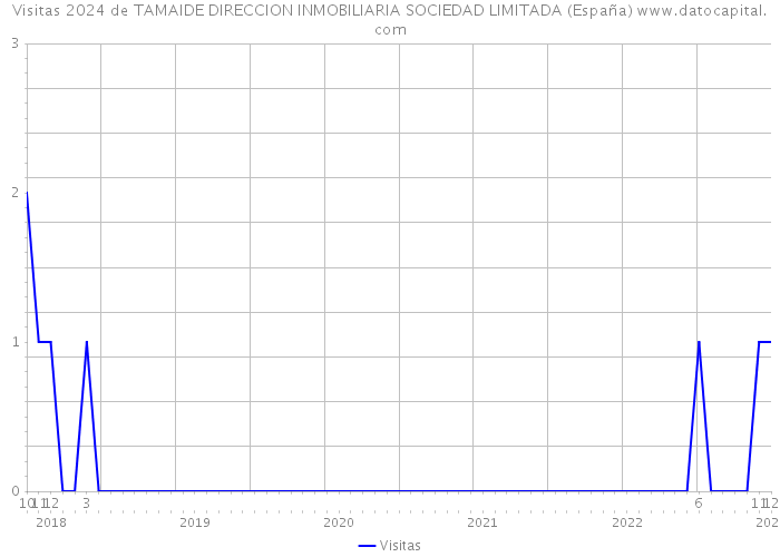 Visitas 2024 de TAMAIDE DIRECCION INMOBILIARIA SOCIEDAD LIMITADA (España) 