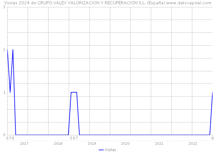 Visitas 2024 de GRUPO VALEX VALORIZACION Y RECUPERACION S.L. (España) 