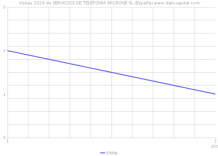 Visitas 2024 de SERVICIOS DE TELEFONIA MICRONE SL (España) 