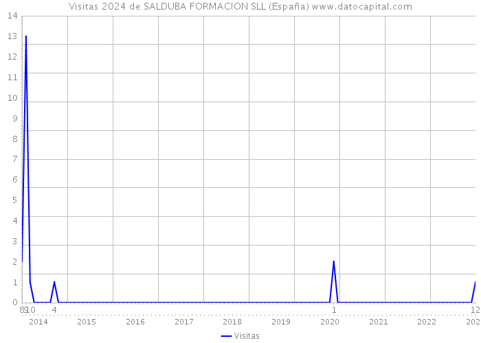 Visitas 2024 de SALDUBA FORMACION SLL (España) 