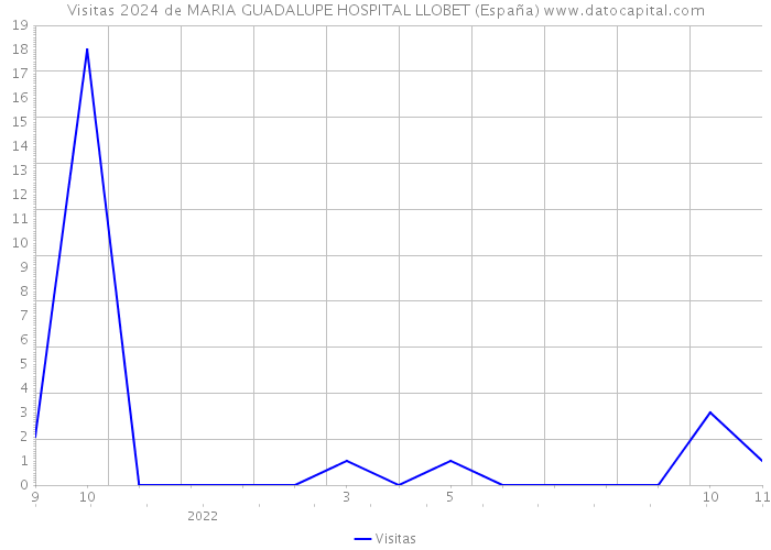 Visitas 2024 de MARIA GUADALUPE HOSPITAL LLOBET (España) 