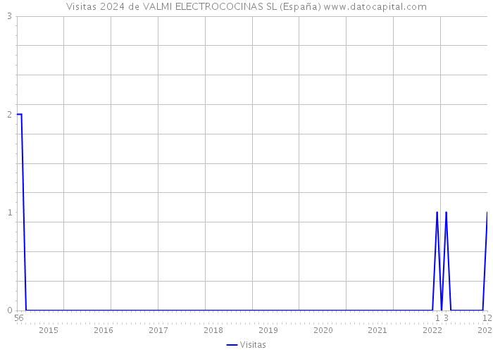 Visitas 2024 de VALMI ELECTROCOCINAS SL (España) 