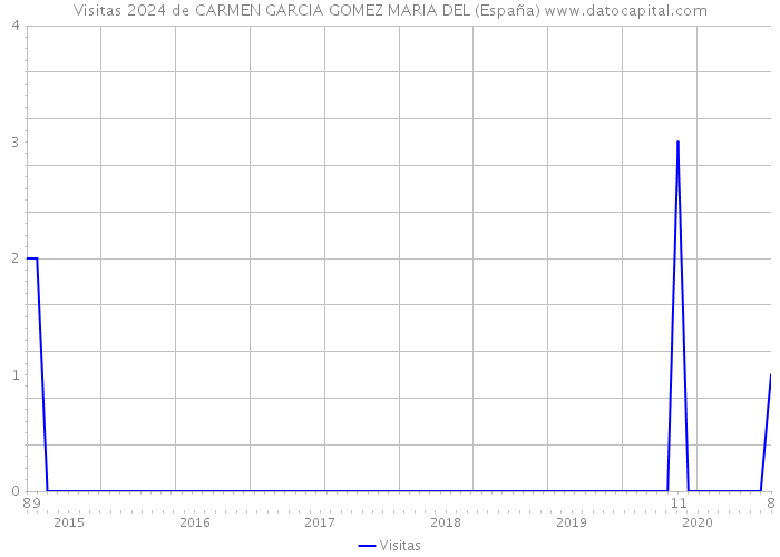 Visitas 2024 de CARMEN GARCIA GOMEZ MARIA DEL (España) 