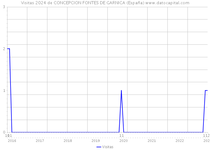 Visitas 2024 de CONCEPCION FONTES DE GARNICA (España) 