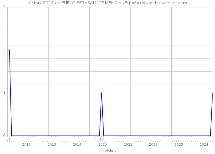 Visitas 2024 de ENEKO BERASALUCE MENDIA (España) 
