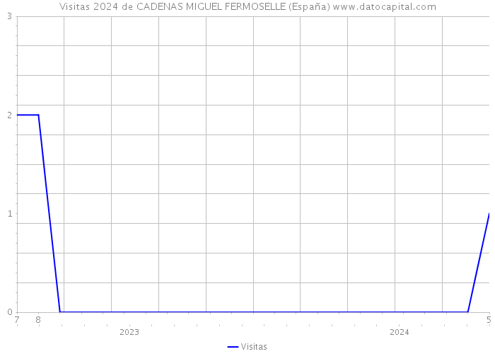 Visitas 2024 de CADENAS MIGUEL FERMOSELLE (España) 