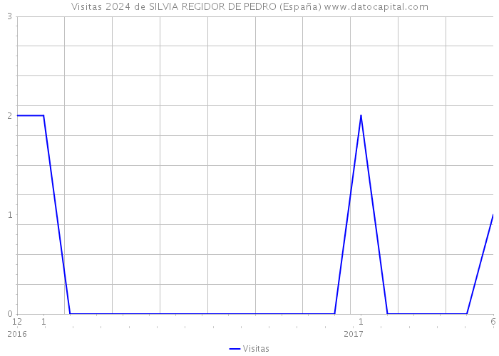 Visitas 2024 de SILVIA REGIDOR DE PEDRO (España) 