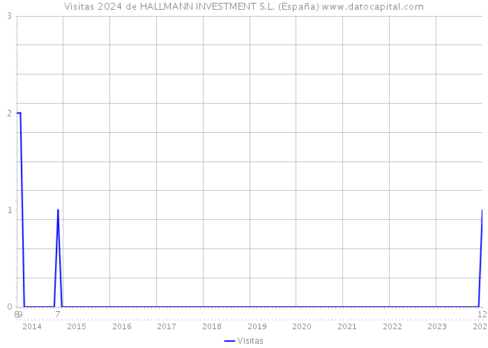 Visitas 2024 de HALLMANN INVESTMENT S.L. (España) 