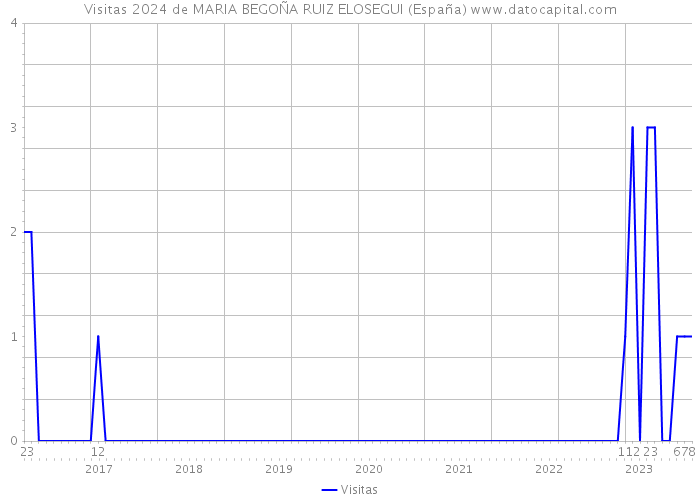Visitas 2024 de MARIA BEGOÑA RUIZ ELOSEGUI (España) 