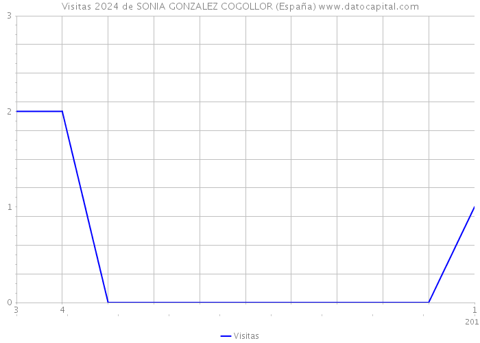 Visitas 2024 de SONIA GONZALEZ COGOLLOR (España) 