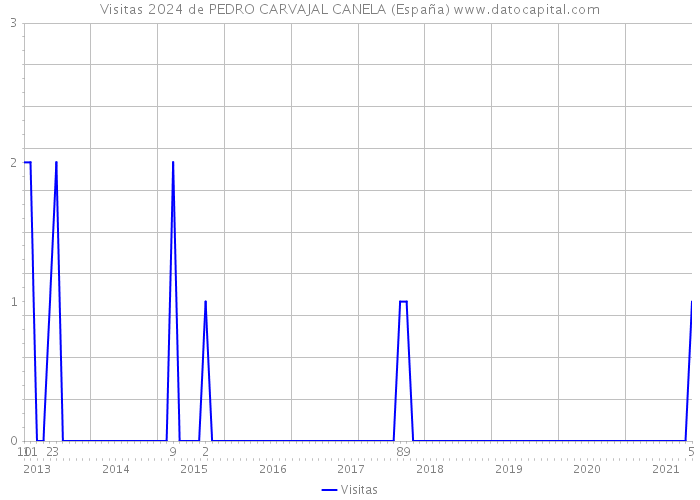 Visitas 2024 de PEDRO CARVAJAL CANELA (España) 