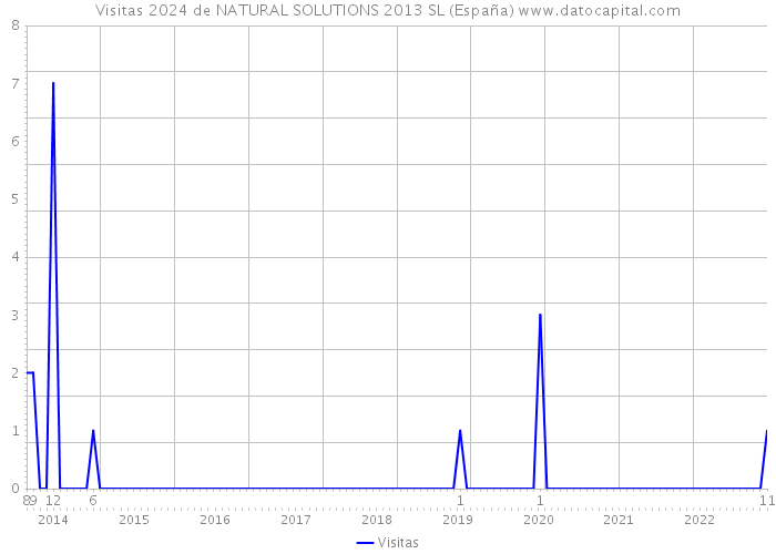 Visitas 2024 de NATURAL SOLUTIONS 2013 SL (España) 