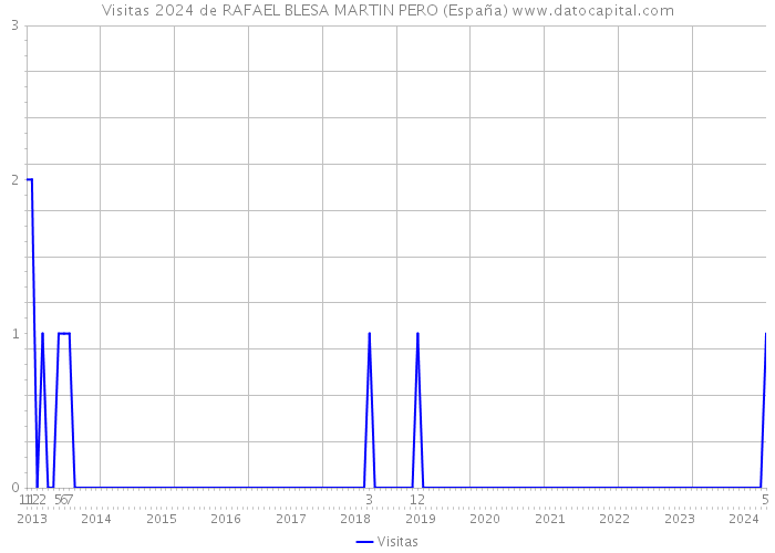 Visitas 2024 de RAFAEL BLESA MARTIN PERO (España) 