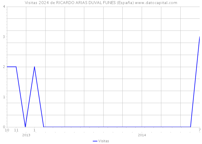 Visitas 2024 de RICARDO ARIAS DUVAL FUNES (España) 
