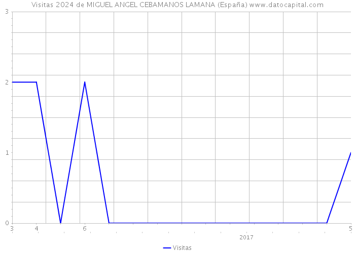Visitas 2024 de MIGUEL ANGEL CEBAMANOS LAMANA (España) 