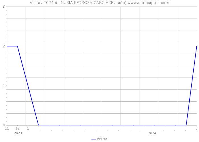 Visitas 2024 de NURIA PEDROSA GARCIA (España) 