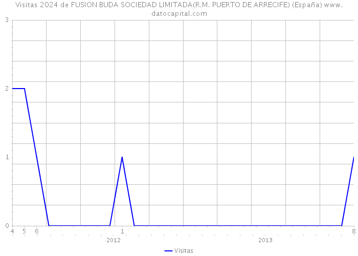 Visitas 2024 de FUSION BUDA SOCIEDAD LIMITADA(R.M. PUERTO DE ARRECIFE) (España) 
