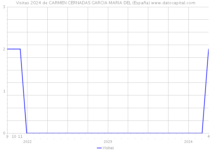 Visitas 2024 de CARMEN CERNADAS GARCIA MARIA DEL (España) 