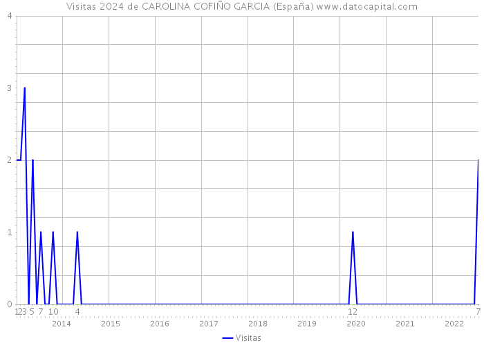 Visitas 2024 de CAROLINA COFIÑO GARCIA (España) 