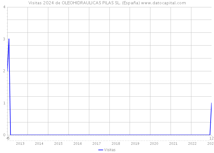 Visitas 2024 de OLEOHIDRAULICAS PILAS SL. (España) 