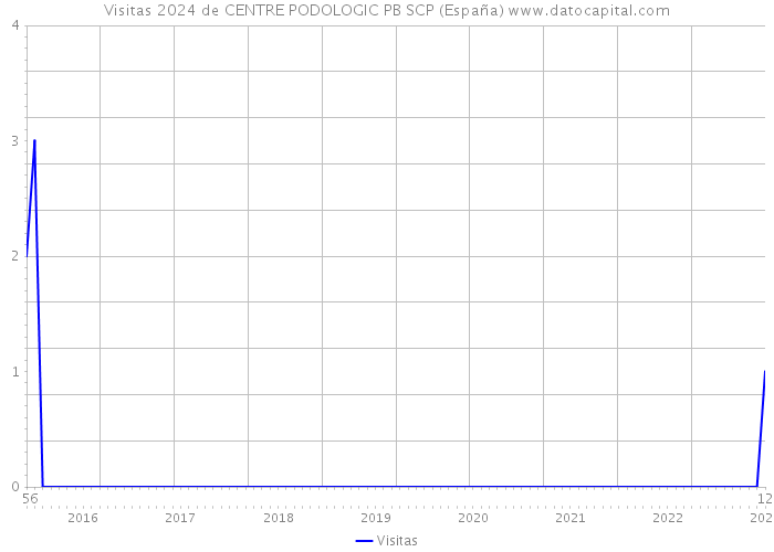 Visitas 2024 de CENTRE PODOLOGIC PB SCP (España) 