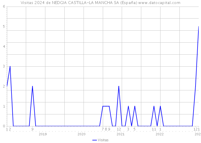 Visitas 2024 de NEDGIA CASTILLA-LA MANCHA SA (España) 