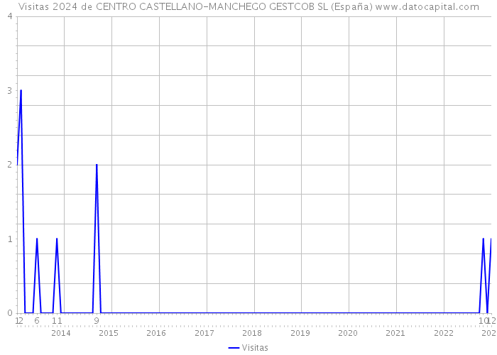 Visitas 2024 de CENTRO CASTELLANO-MANCHEGO GESTCOB SL (España) 