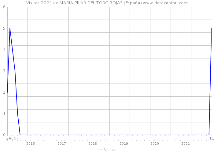 Visitas 2024 de MARIA PILAR DEL TORO ROJAS (España) 