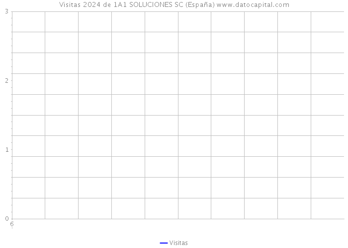 Visitas 2024 de 1A1 SOLUCIONES SC (España) 