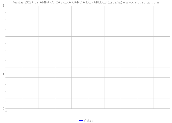 Visitas 2024 de AMPARO CABRERA GARCIA DE PAREDES (España) 