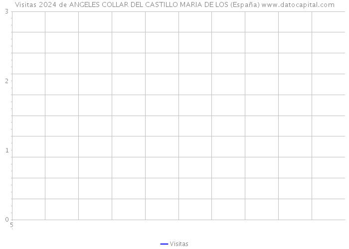 Visitas 2024 de ANGELES COLLAR DEL CASTILLO MARIA DE LOS (España) 